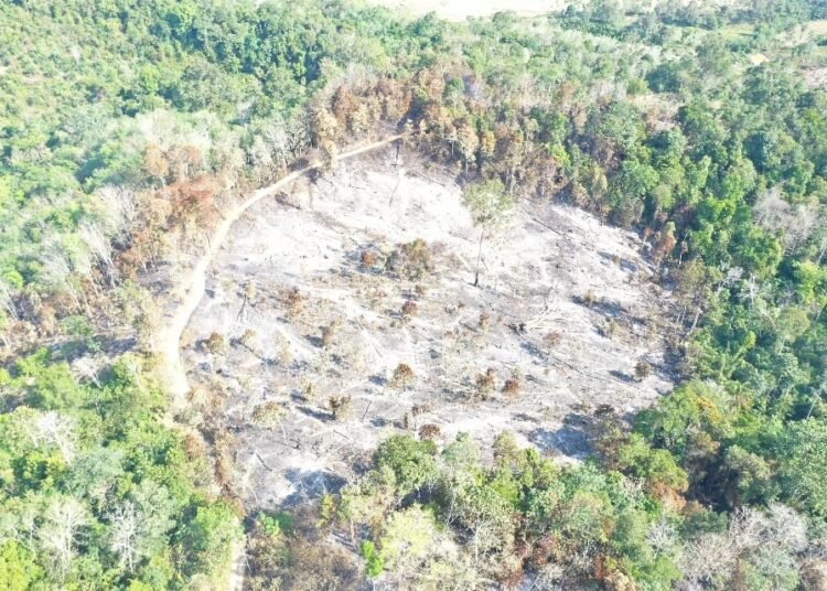 Foto: penampakan lahan terbakar di Sijunjung.