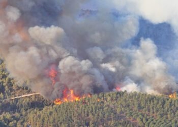 94 Titik Panas Terpantau di Sumatera, BMKG Peringatkan Ancaman Karhutla