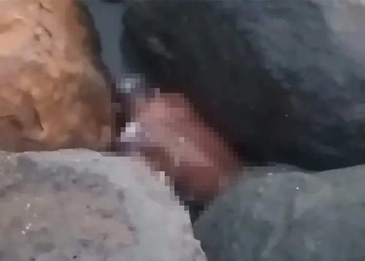Beberapa warga menemukan sesosok mayat di Pantai Pasir Putih Kambang, Nagari Kambang Barat, Kecamatan Lengayang, Pesisir Selatan, Kamis (3/7) sore.