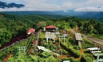 70 Persen Warga Gantungkan Hidup dari Hutan, Pemkab Solok Selatan Dorong Perhutanan Sosial