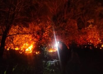 Padamkan Kebakaran di Lahannya, Seorang Warga Solok Meninggal