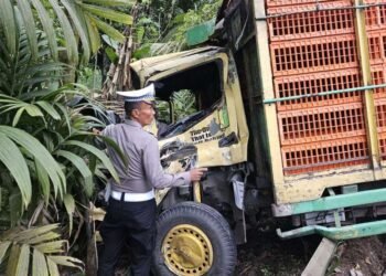 Truk Ayam Tabrakan dengan Bus ANS di Sijunjung, Satu Orang Tewas