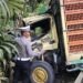 Truk Ayam Tabrakan dengan Bus ANS di Sijunjung, Satu Orang Tewas
