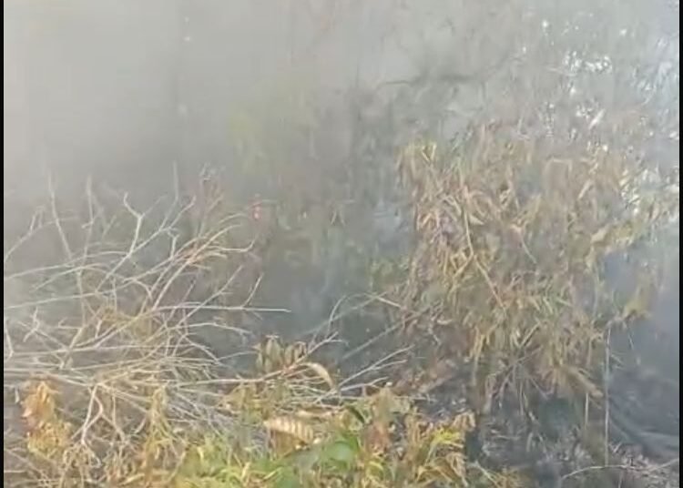 Salah satu lahan yang terbakar di Payakumbuh pada Rabu (17/7). Foto: IST