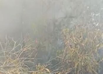 Sehari Empat Lahan Terbakar di Payakumbuh