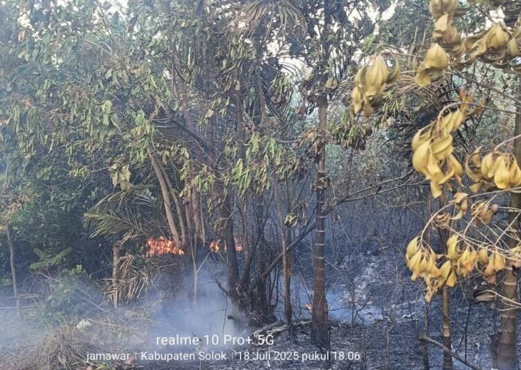Kebakaran lahan di Nagari Saniangbaka, Solok, pada Jumat (18/7/2025). Foto: Damkar Solok