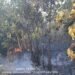 37 Titik Lebih Lahan dan Hutan Terbakar di Solok dalam Sehari, Petugas Tumbang
