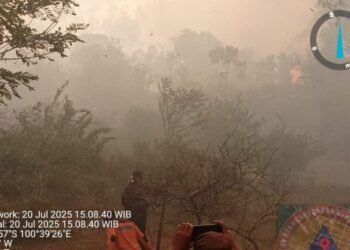 Karhutla Hanguskan 120 Hektare Lahan di Limapuluh Kota, Kabut Asap Mulai Terasa
