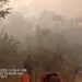 Karhutla Hanguskan 120 Hektare Lahan di Limapuluh Kota, Kabut Asap Mulai Terasa