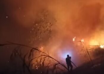 Karhutla di Harau Limapuluh Kota Meluas, Diduga Akibat Pembukaan Lahan Wisata