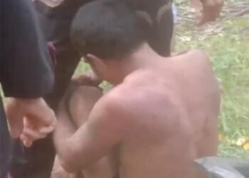 Warga Dharmasraya Tangkap Ninja Sawit Sedang Panen Kebun Orang Lain