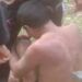 Warga Dharmasraya Tangkap Ninja Sawit Sedang Panen Kebun Orang Lain