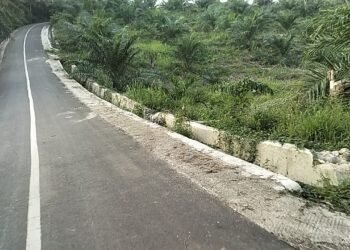 BPK Temukan Kerugian Negara pada Proyek Jalan Pulau Mainan Rp3,35 Miliar di Dharmasraya