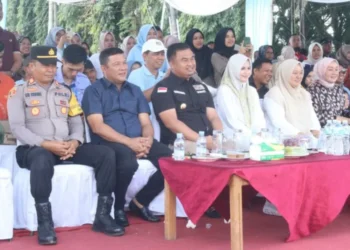 Semarak Puncak HUT Dharmasraya, DPRD Soroti Peran Legislasi Lewat Pawai Kebudayaan