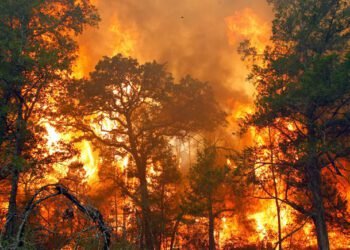 Jumlah Titik Panas di Sumatra Meningkat, Riau Catatkan Kasus Karhutla Terbanyak