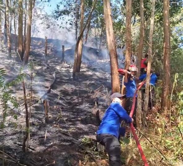 kebakaran lahan di Solok