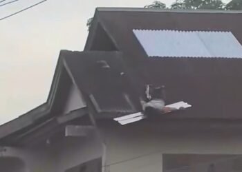 Video: Detik-Detik Pekerja di Pesisir Selatan Diduga Tersengat Listrik Saat Perbaiki Atap