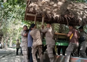 Pemko Pariaman Tertibkan Gazebo Pedagang Demi Pemasangan Radar Pendeteksi Tsunami
