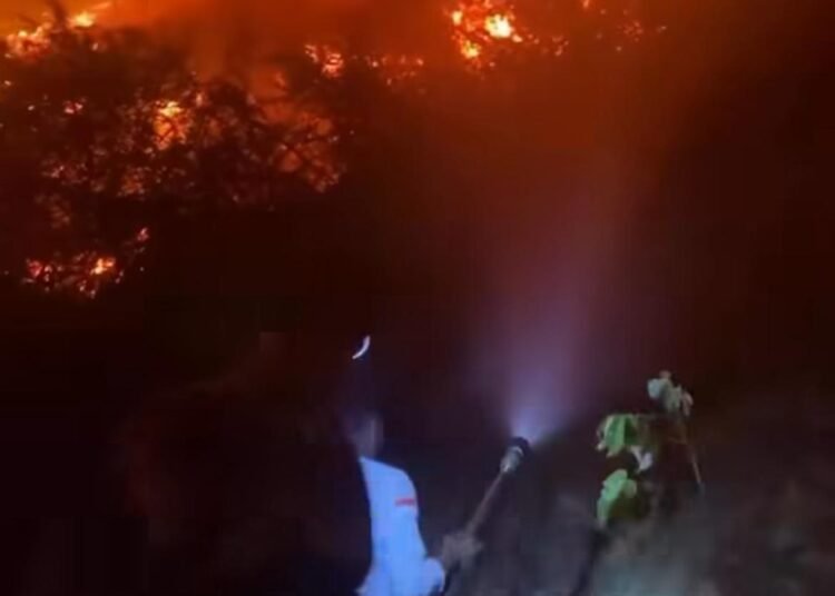 Karhutla di Limapuluh Kota, Kamis malam (24/7)