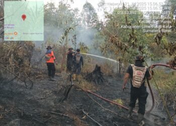10 Kecamatan Terdampak Karhutla di Lima Puluh Kota, Tim Gabungan Terus Lakukan Pemadaman