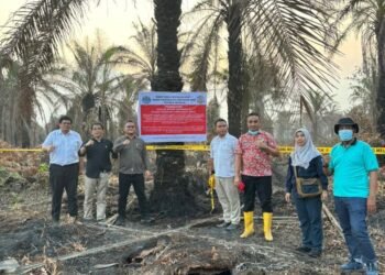 4 Perusahaan Sawit Disegel dan 1 Pabrik Stop Operasional Gara-Gara Karhutla
