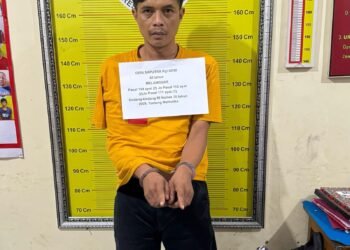 Pengedar di Tanah Datar Dibekuk Polisi, Puluhan Paket Sabu Disita