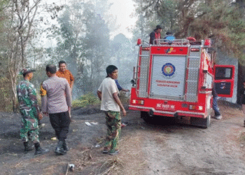 Kemarau Panjang, Kebakaran Lahan di Solok Semakin Meluas