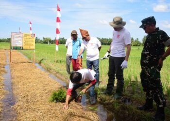 Pemkab Padang Pariaman Bersama BWS Sumatera V Gelar Gerakan Irigasi Bersih di Batang Anai