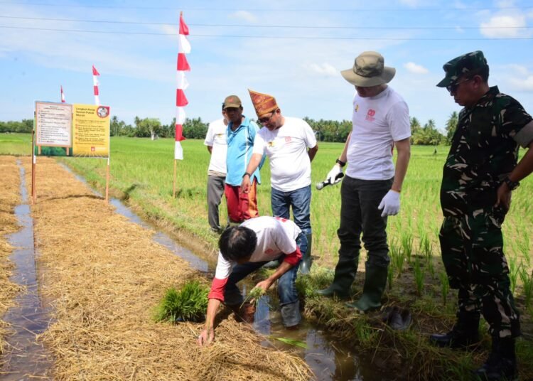 Pemerintah Kabupaten Padang Pariaman bersama Balai Wilayah Sungai (BWS) Sumatera V melaksanakan Gerakan Irigasi Bersih di Daerah Irigasi Batang Anai, Kamis (14/8).