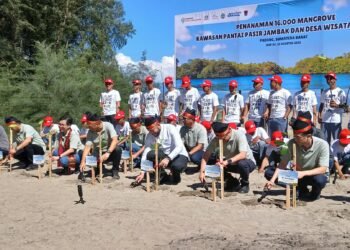 Lindungi Pesisir, Wali Kota Padang Bersama Astra Tanam 16 Ribu Mangrove
