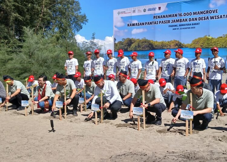 Wali Kota Padang, Fadly Amran, bersama Yayasan Astra Honda Motor (AHM) melakukan aksi penanaman 16 ribu bibit mangrove di kawasan pesisir Kota Padang, Jumat (22/8/2025).