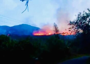 Bukit Teletubies di Pasaman Terbakar Hebat, Api Sulit Dipadamkan