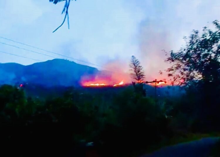 Kebakaran hebat melanda kawasan Bukit Teletubies di Nagari Lubuak Layang, Kecamatan Rao Selatan, Pasaman, pada Jumat (1/8) sore.