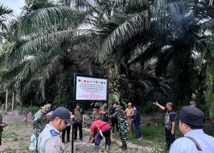 Operasi penertiban kawasan hutan di Kabupaten Pasaman seluas 2.919,78 hektare.