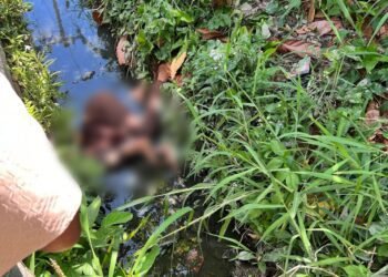 Mayat Perempuan Ditemukan di Pasaman, Polisi Tegaskan Isu Tanpa Kepala Hoaks