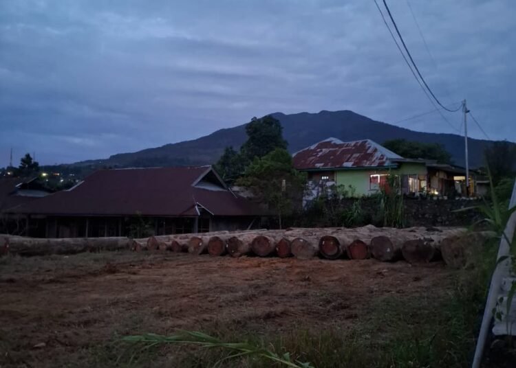 Kayu milik Budi Satriadi di pinggir jalan di Kayu Aro, tak jauh dari Kantor Bupati Solok. Foto: IST