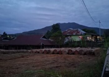 Kayunya Dibawa Petugas Balai Kehutanan, Pengusaha di Solok Lapor Polisi