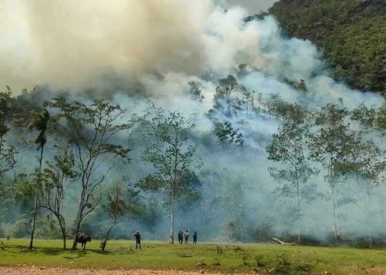 Dua hektare hutan dan lahan terbakar di Jorong Aia Putiah, Nagari Sarilamak, Kecamatan Harau, Limapuluh Kota, pada Jumat (22/8) sejak pukul 13.05 WIB. Foto: BPBD Limapuluh Kota