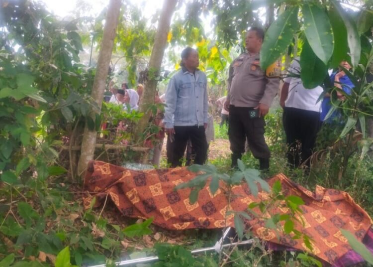 Petani bernama Muhklis (55) ditemukan tewas tergantung di sebuha pohon di kebun miliknya di Jorong Batu Labi, Nagari Mungo, Kecamatan Luhak, Limapuluh Kota, pada Rabu (27/8/2025) sekitar pukul 08.00 WIB. Foto: Polsek Luhak