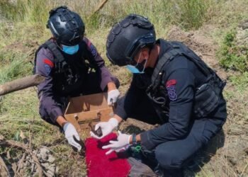 Cari Pasir di Sungai, Warga Pesisir Selatan Temukan Granat Aktif