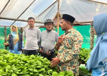 Pemkab Padang Pariaman Dorong Regenerasi Petani Lewat Gerakan Petani Milenial