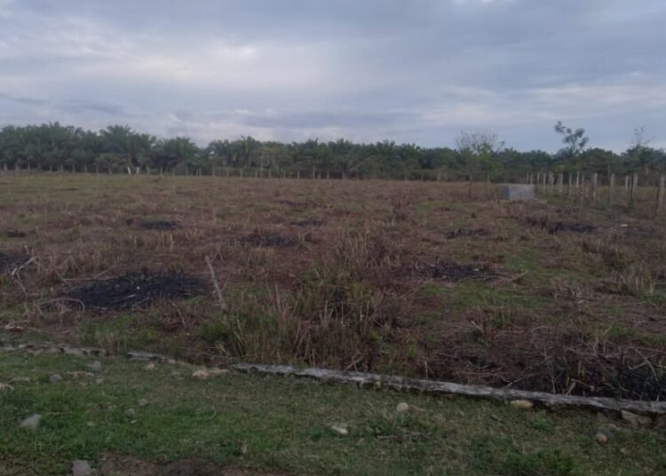 Tanah Pemkab Pesisir Selatan sekitar empat hektare di Kampung Koto Marapak, Nagari Air Haji, Kecamatan Linggo Sari Baganti. Foto: IST