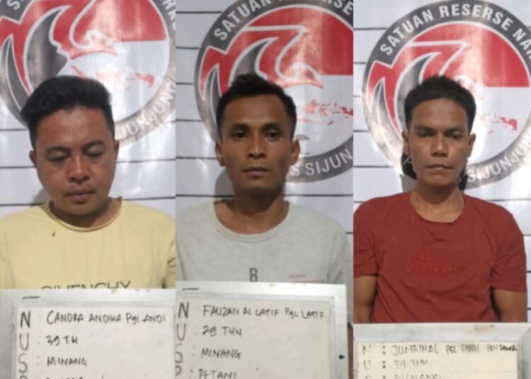 Tiga tersangka diamankan di Mapolres Sijunjung. IST