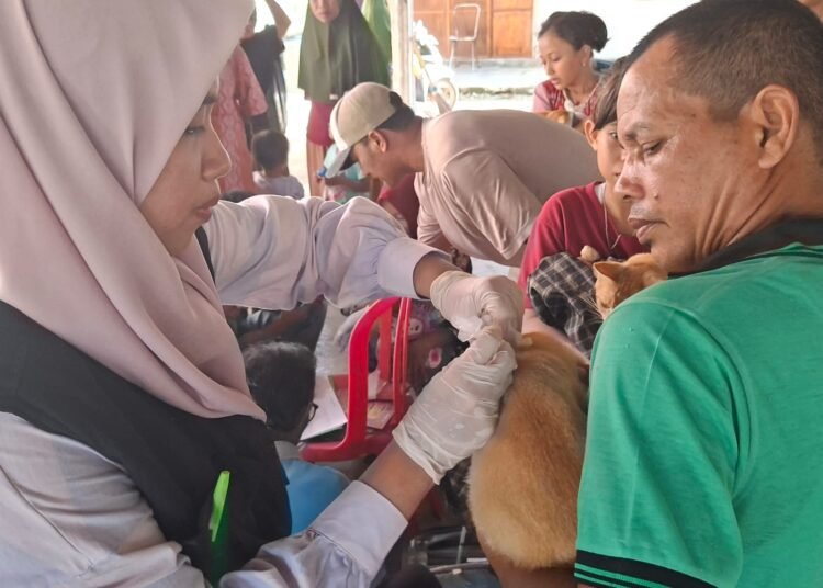 Polsek 2x11 Enam Lingkung bersama Dinas Peternakan Padang Pariaman menggelar kegiatan sosialisasi dan vaksinasi rabies massal, Jumat (22/8).