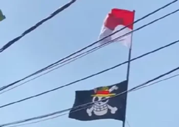 Viral Fenomena Bendera One Piece Berkibar Jelang HUT ke-80 RI