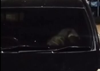 Video: Detik-Detik Pasangan Langsung Tancap Gas Usai Dipergoki Warga di Payakumbuh