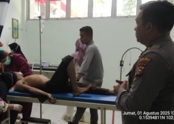 Pekerja Diserang Harimau Sumatera di Areal Konsensi Perusahaan Tanaman Akasia