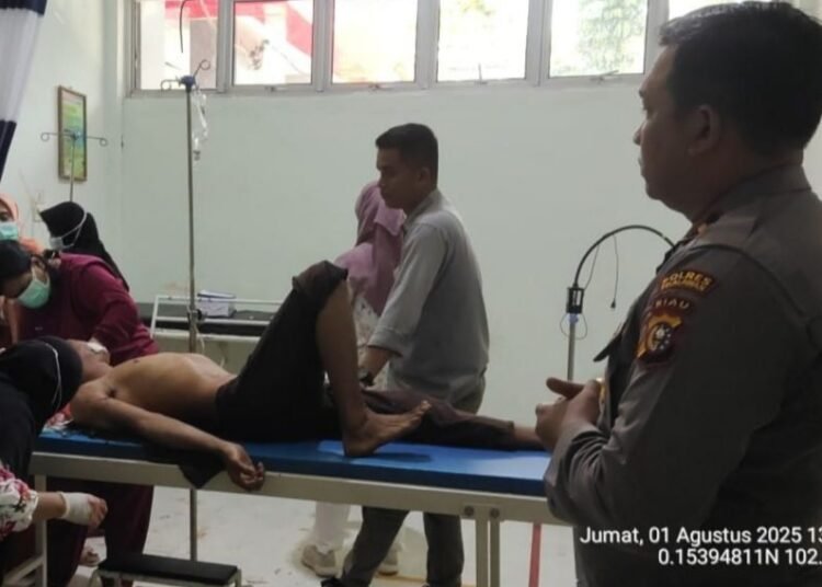 Korban serangan harimau i areal konsesi PT Arara Abadi, Kabupaten Pelalawan, Riau, Jumat (1/8) dibawa ke rumah sakit. Foto: IST