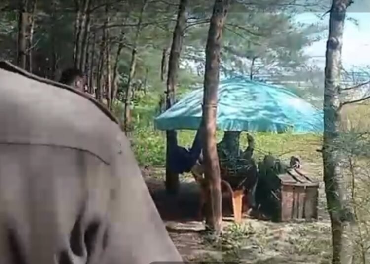 Satuan Polisi Pamong Praja (Satpol PP) Pariaman melakukan razia dan terhadap sejumlah payung ceper di kawasan Pantai Kata, Selasa (30/9).