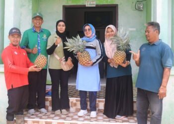 Tinjau Perkebunan di Nagari Kurnia Selatan, Pemkab Dharmasraya Siap Perkuat Pemberdayaan Petani